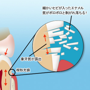 WSD2ブログ図.jpg