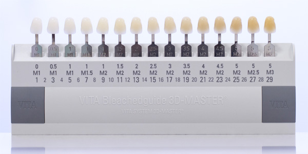 限定版 歯科ホワイトニング用シェードガイド 20色 3D 歯列模型ボード